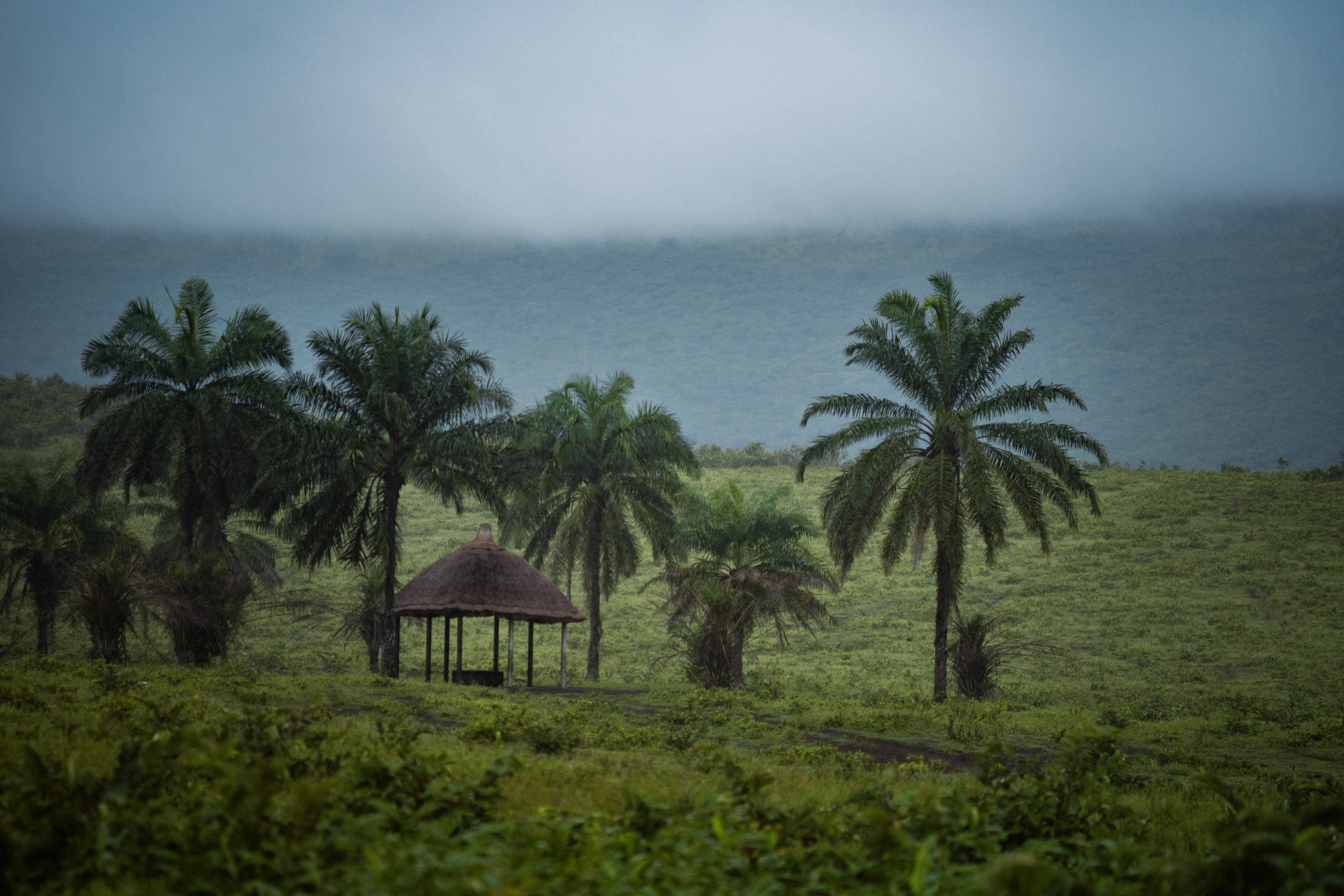 Parc de la vallée de la N'sele